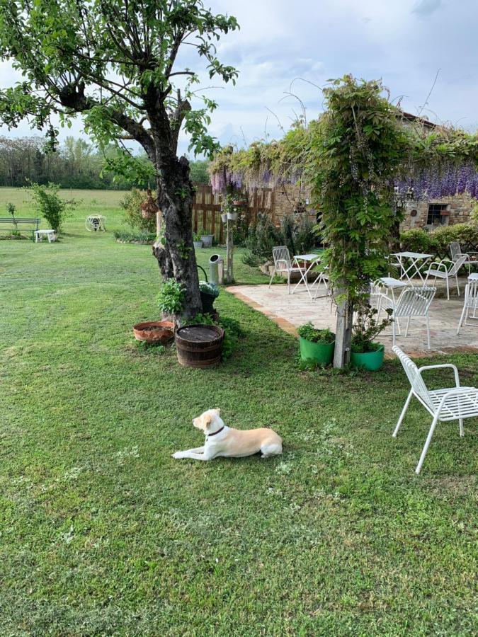 R&B Mulino Marsa Bed & Breakfast Castell'Arquato Exterior photo